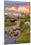 Moose and Meadow - Rocky Mountain National Park-null-Mounted Poster