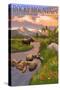 Moose and Meadow - Rocky Mountain National Park-Lantern Press-Stretched Canvas