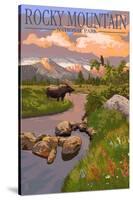 Moose and Meadow - Rocky Mountain National Park-Lantern Press-Stretched Canvas