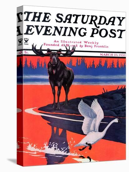 "Moose and White Goose," Saturday Evening Post Cover, March 23, 1935-Jacob Bates Abbott-Stretched Canvas