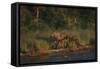 Moose and Young on River Bank-DLILLC-Framed Stretched Canvas