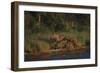 Moose and Young on River Bank-DLILLC-Framed Photographic Print