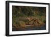 Moose and Young on River Bank-DLILLC-Framed Photographic Print