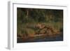 Moose and Young on River Bank-DLILLC-Framed Photographic Print