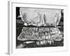 Moose Antlers and Fish on Display after Trip, Ca. 1948-null-Framed Photographic Print