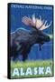 Moose at Night, Denali National Park, Alaska-Lantern Press-Framed Stretched Canvas