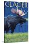 Moose at Night, Glacier National Park, Montana-Lantern Press-Stretched Canvas