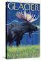 Moose at Night, Glacier National Park, Montana-Lantern Press-Stretched Canvas