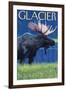 Moose at Night, Glacier National Park, Montana-Lantern Press-Framed Art Print