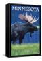 Moose at Night - Minnesota-Lantern Press-Framed Stretched Canvas