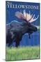 Moose at Night, West Yellowstone, Montana-Lantern Press-Mounted Art Print