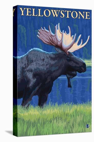 Moose at Night, Yellowstone National Park-Lantern Press-Stretched Canvas