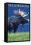 Moose at Night, Yellowstone National Park-Lantern Press-Framed Stretched Canvas