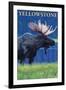 Moose at Night, Yellowstone National Park-Lantern Press-Framed Art Print