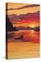 Moose at Sunset (Image Only)-Lantern Press-Stretched Canvas