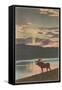 Moose at Sunset, Montana-null-Framed Stretched Canvas