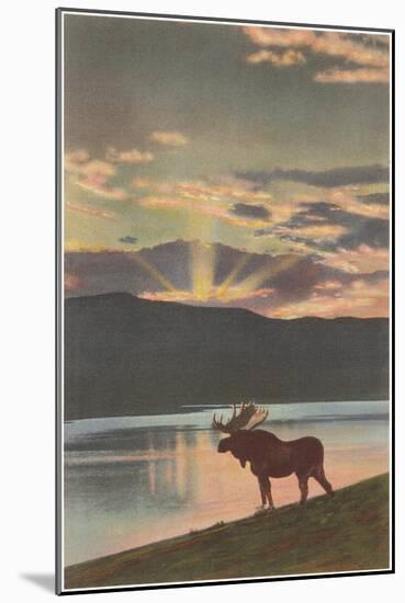 Moose at Sunset, Montana-null-Mounted Art Print