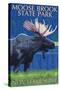 Moose Brook State Park - Moose at Night-Lantern Press-Stretched Canvas