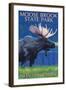 Moose Brook State Park - Moose at Night-Lantern Press-Framed Art Print