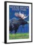 Moose Brook State Park - Moose at Night-Lantern Press-Framed Art Print