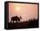 Moose Bull with Antlers Silhouetted at Sunset, Smoke of Wildfires, Denali National Park, Alaska-Steve Kazlowski-Framed Stretched Canvas