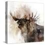 Moose Call-Ken Roko-Stretched Canvas