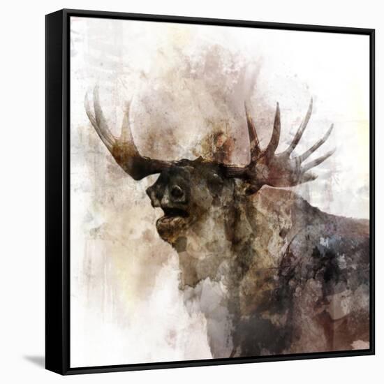 Moose Call-Ken Roko-Framed Stretched Canvas