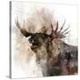 Moose Call-Ken Roko-Stretched Canvas