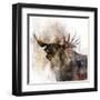 Moose Call-Ken Roko-Framed Art Print