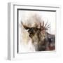 Moose Call-Ken Roko-Framed Art Print