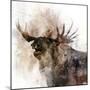 Moose Call-Ken Roko-Mounted Art Print