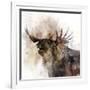 Moose Call-Ken Roko-Framed Art Print