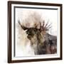 Moose Call-Ken Roko-Framed Art Print