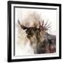 Moose Call-Ken Roko-Framed Art Print