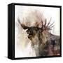 Moose Call-Ken Roko-Framed Stretched Canvas