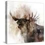 Moose Call-Ken Roko-Stretched Canvas