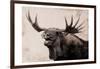 Moose Call-Marcus Prime-Framed Art Print