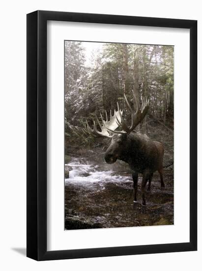 Moose Creek-Steve Hunziker-Framed Art Print