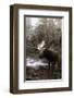 Moose Creek-Steve Hunziker-Framed Art Print