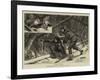 Moose-Creeping in Nova Scotia-null-Framed Giclee Print