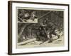 Moose-Creeping in Nova Scotia-null-Framed Giclee Print