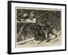 Moose-Creeping in Nova Scotia-null-Framed Giclee Print