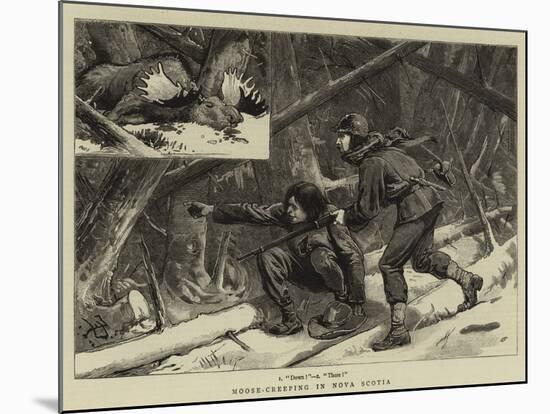 Moose-Creeping in Nova Scotia-null-Mounted Giclee Print