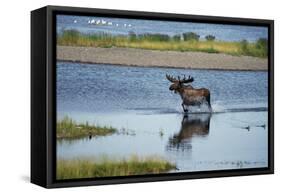 Moose Crossing Brooks River-W^ Perry Conway-Framed Stretched Canvas
