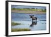 Moose Crossing Brooks River-W^ Perry Conway-Framed Photographic Print