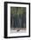 Moose Crossing River-DLILLC-Framed Photographic Print