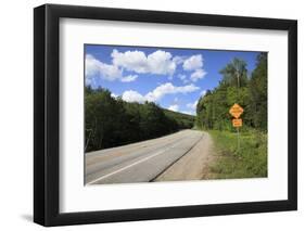 Moose Crossing Sign-Wendy Connett-Framed Photographic Print