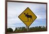 Moose Crossing Sign-Paul Souders-Framed Photographic Print