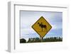 Moose Crossing Sign-Paul Souders-Framed Photographic Print