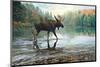 Moose Crossing-Russell Cobane-Mounted Art Print